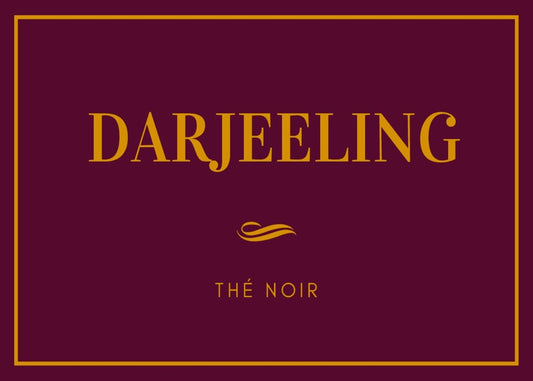 Darjeeling Noir